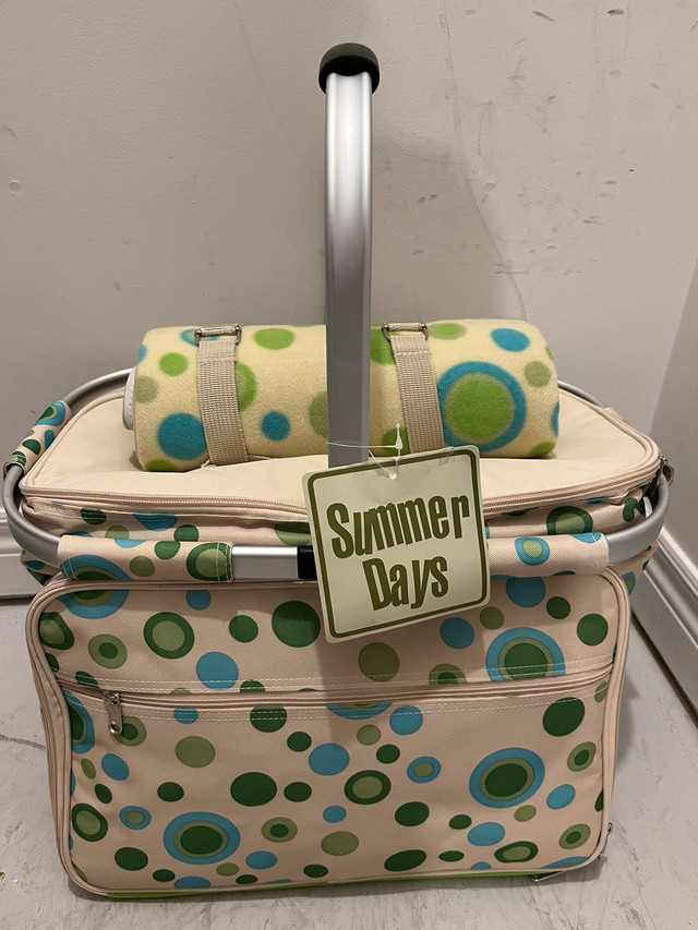 Picnic/Cooler Bag in BBQs & Outdoor Cooking in Markham / York Region