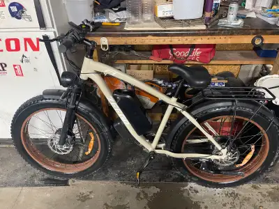 dual motor ebike, View more