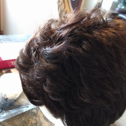 Synthetic Wig- Brand New Short length - Brown color in Health & Special Needs in Kitchener / Waterloo