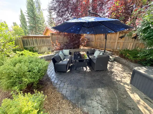 Landscapping clean up,