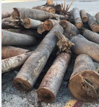 Wood in tons for sale