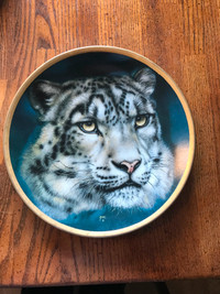 Big Cats of the world Plate Collection