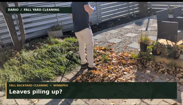  FALL YARD CLEANUP — WINNIPEG 601409105387202561