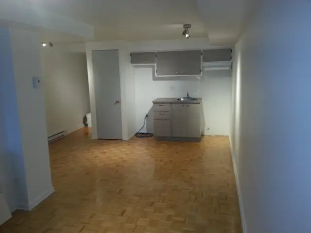 1½-Bedroom Open-Concept Unit