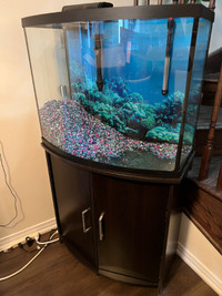 Fish Aquarium + Filter, water heater & more