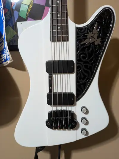 Epiphone Thunderbird classic pro with alperious custom pickguard, View more