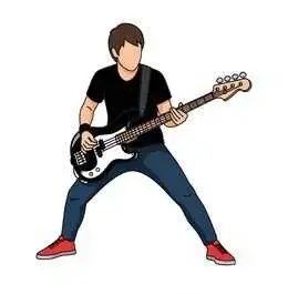 Bassist Seeking Band