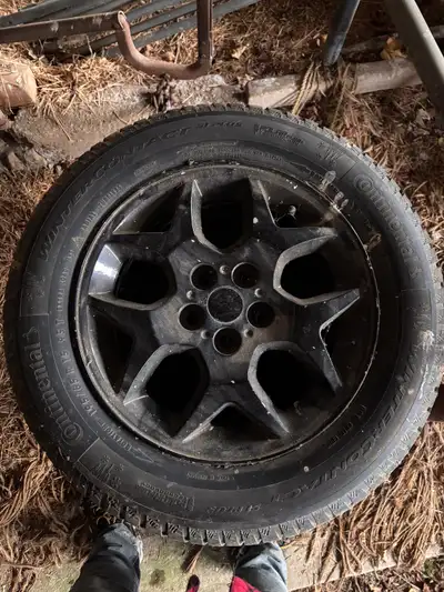 Wheels and tires on Subaru Impreza. P195/65/R15 wheels could use some paint touch ups, but still dec...