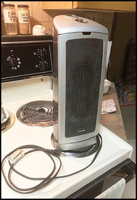 Oscillating Heater with Fan $60