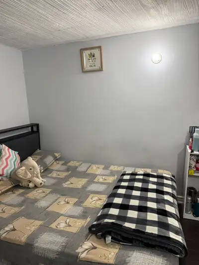 Room for rent in Malton Mississauga it’s newly renovated basement.Close to Gurudwara, Westwood Squar...