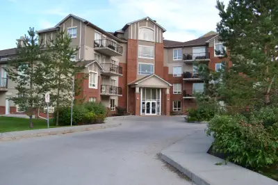 Beautiful 2 Bedroom Apartment in Holland Gardens