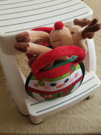 Rudolph The Reindeer In A Pouch