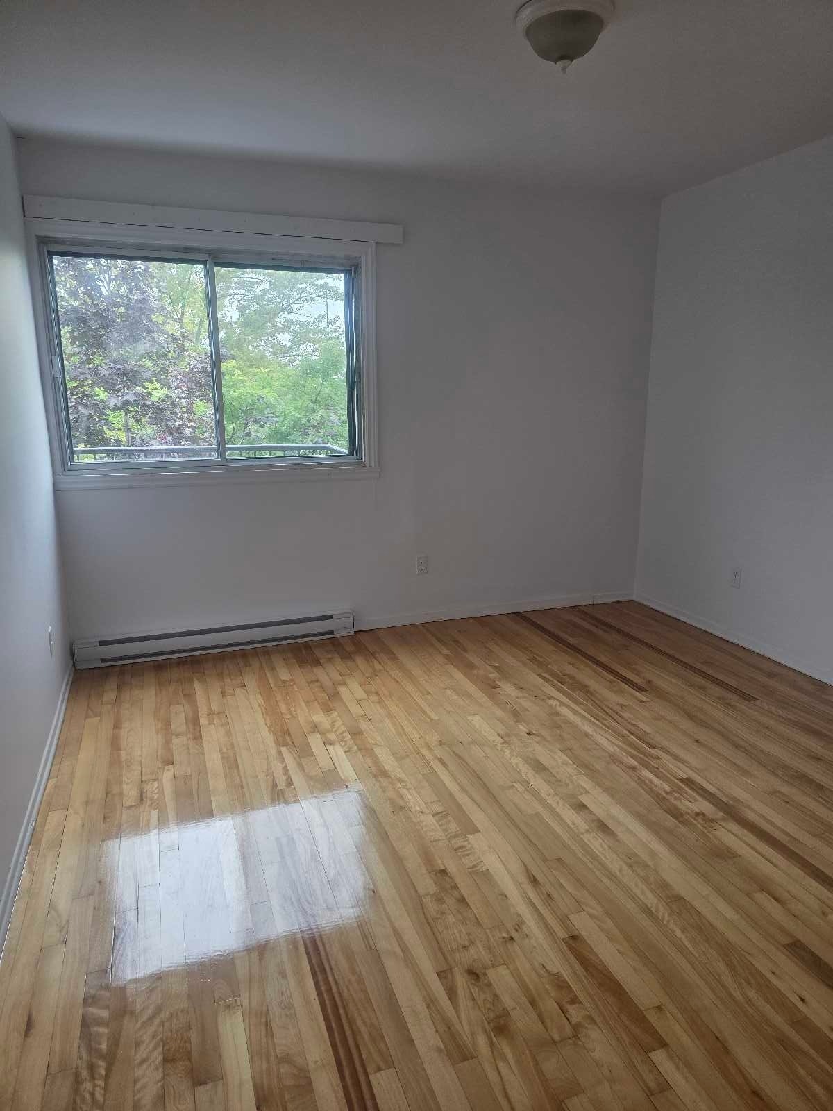 4-1/2 longueuil, face du parc — photo 3