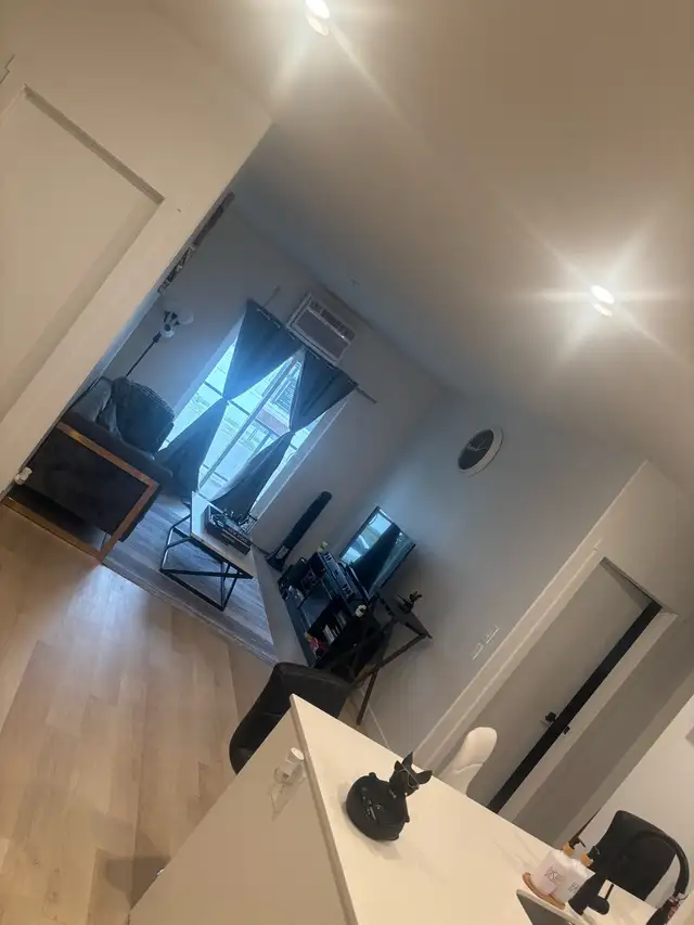 roommate wanted