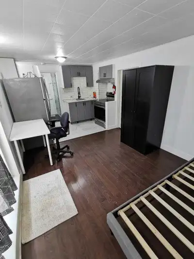 Newly Renovated Basement Studio apartment. (Annapolis and Stevenson) Available from April 1st Rent $...