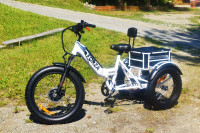 FORZA ADULT ELECTRIC TRICYCLE FOR SALE (BRAND NEW)