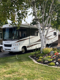 Motorhome ( Forest River GEORGETOWN 