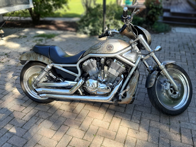 2005 Harley Davidson V-Rod 1 of a kind Wrap Must See! in Street, Cruisers & Choppers in Windsor Region