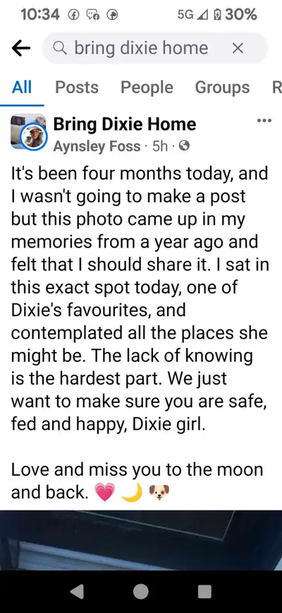 I'm putting this on Kijiji for a friend Anysley who has had her dog Dixie stolen 4 months ago in the...