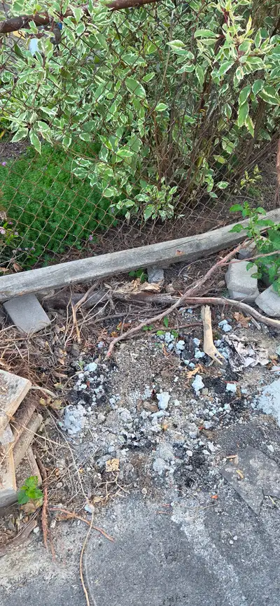 wood ties,  were used for interlocking brick pathway., View more