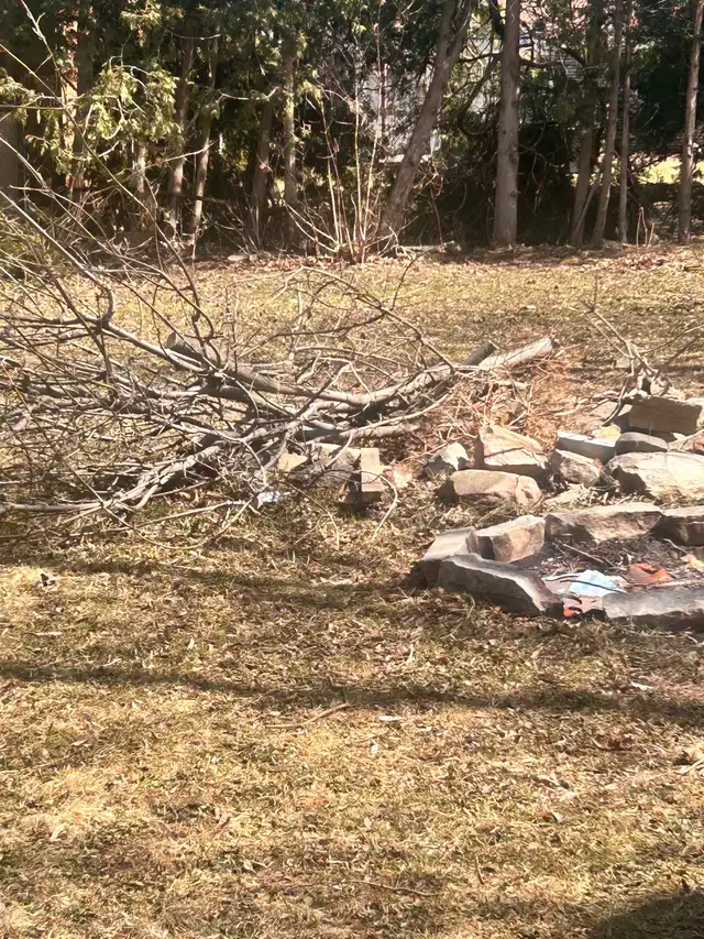 Yard Cleanup & Garbage Removal in Other in Barrie - Image 6