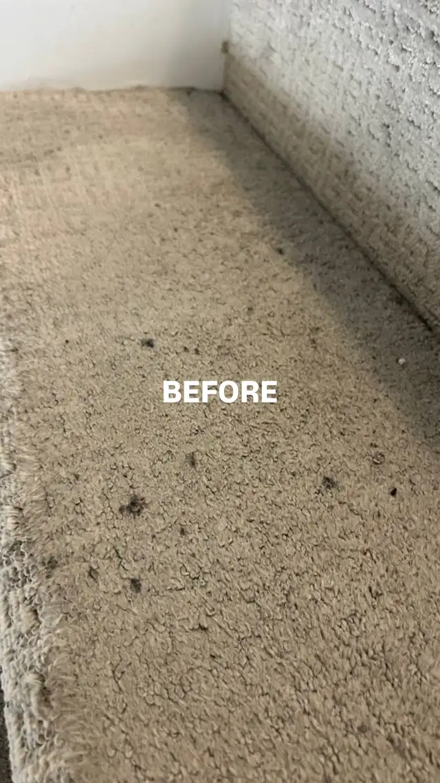 CARPET CLEANING by Cleaning Fairy 62863713230081121