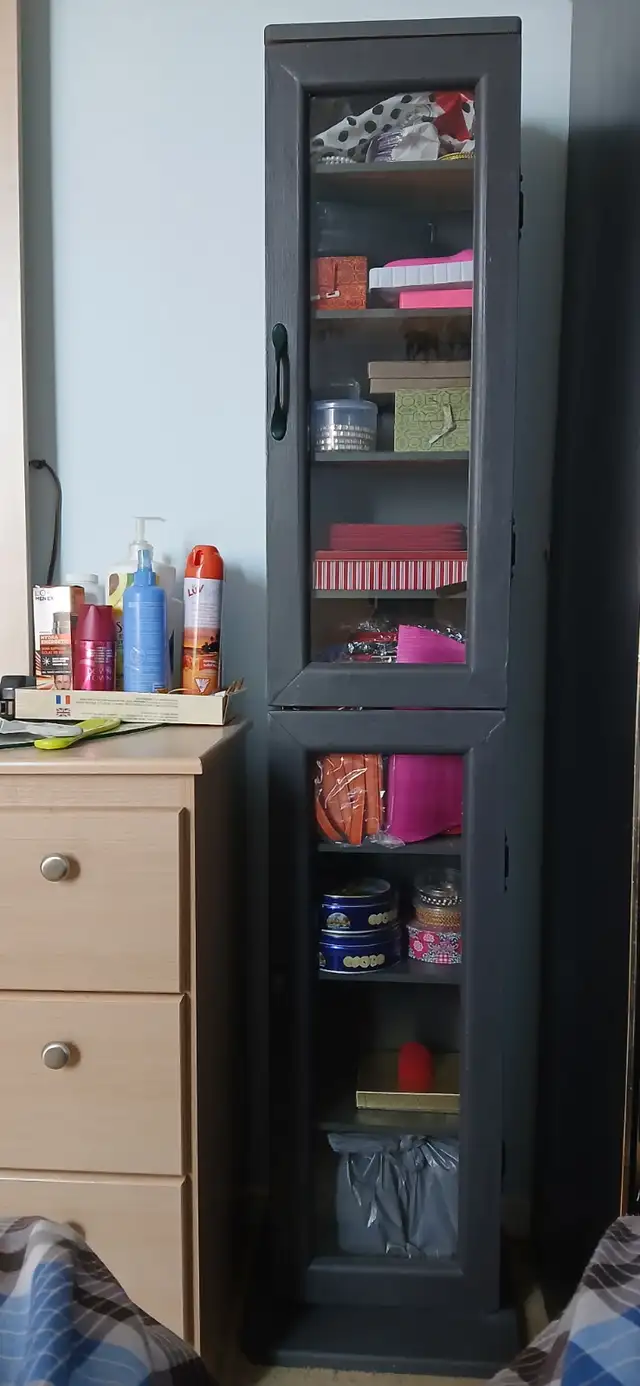 Tall narrow display cabinet or shelves in Bookcases & Shelving Units in City of Toronto - Image 4