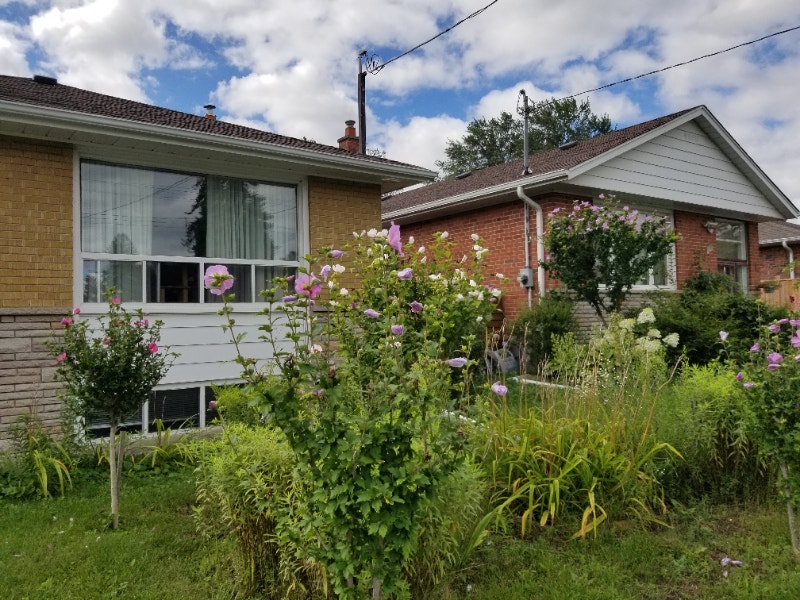 Quiet Scarborough 2 BedRoom Basement Apartment For Rent Long Term
