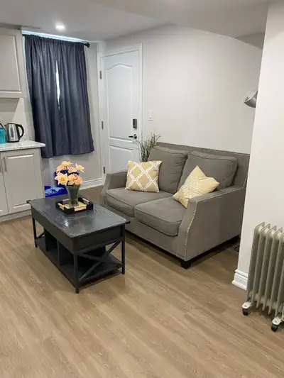 One Bedroom furnished apartment is available