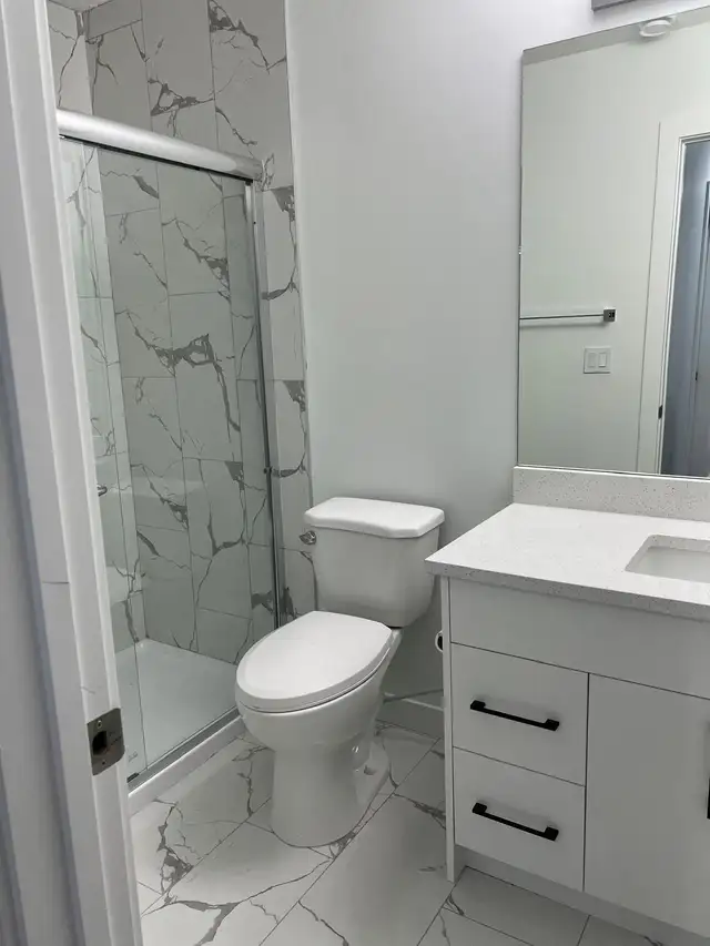 Basement Development595067114295152644