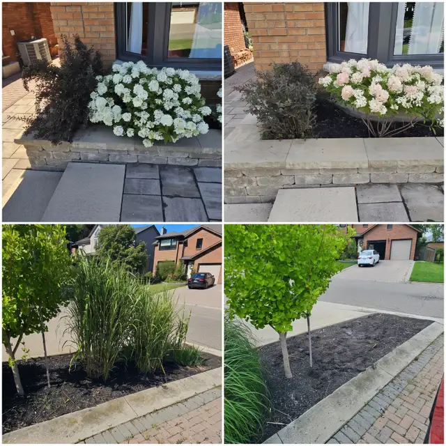 Hamilton Area Landscaping - Gardening - Mulching Weeding & More! in Other in Hamilton - Image 9