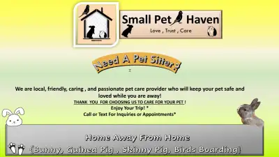 Small Pet Boarding, View more