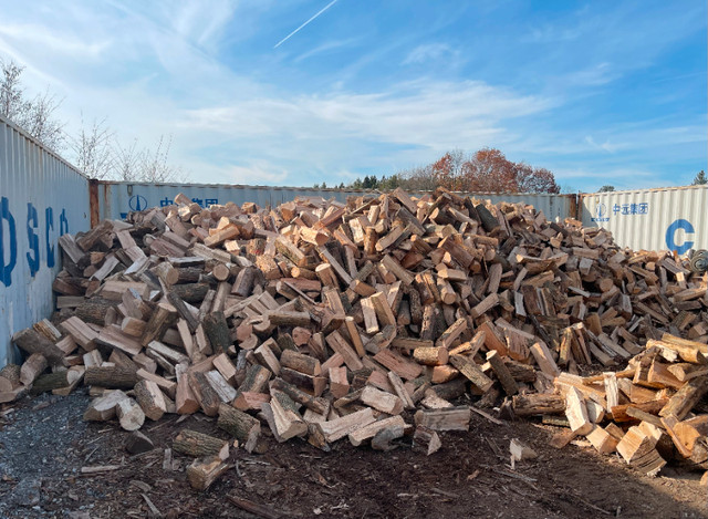 Seasoned Hardwood Firewood For Sale in Other in Oshawa / Durham Region - Image 2