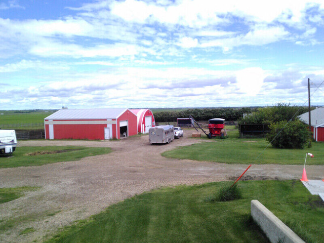 CROSSFIELD HORSE PARK in Horses & Ponies for Rehoming in Calgary - Image 2