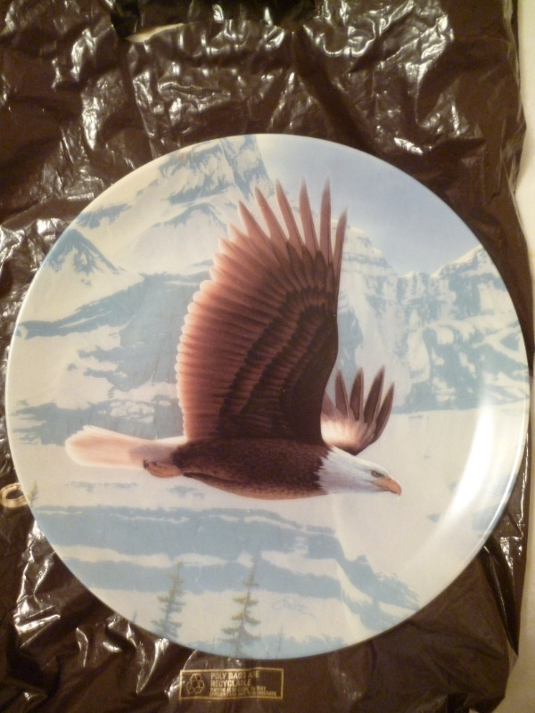 Bald Eagle + Mallards collector china plates with holders - new in Arts & Collectibles in Vernon - Image 4