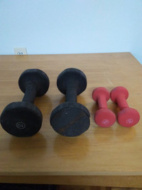 Pair of 10 and 2 pound dumbells.