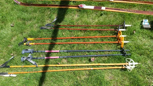 Cross-country skis and shoes, 2 full sets (men’s and women’s) in Ski in Edmonton - Image 8