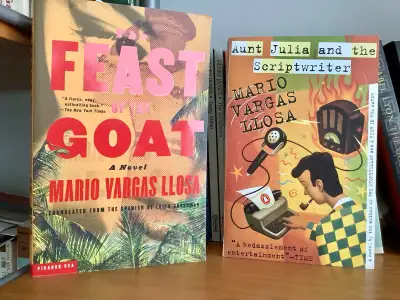 MARIO VARGAS LLOSA 2 NOVELS, View more