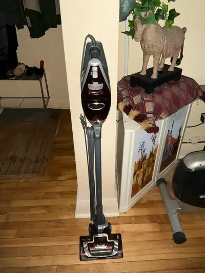 balayeuse à tapis pour seulement 40$, View more