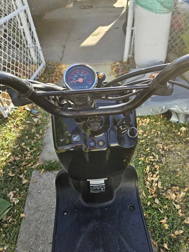 2005 Honda Ruckus in Scooters & Pocket Bikes in Edmonton - Image 6