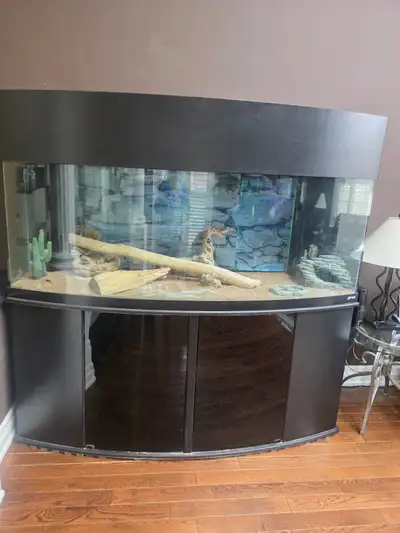 Aquarium 175 gallon, View more