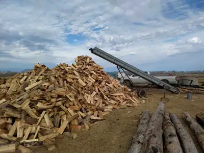 Dry Pine, cut and split, 16 inch length - $300 a cord Birch, cut and split, - $400 a cord Green popl...