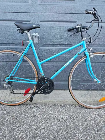 Gardin cruiser bike , View more