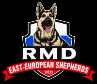 Champion Line East-European Shepherds (VEO)