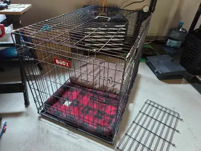 cage et accessoires pour gros chien, View more