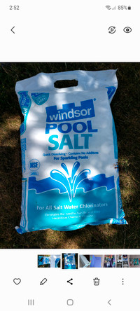 Full sealed bag of WINDSOR POOL SALT.  Plus a partial bag too