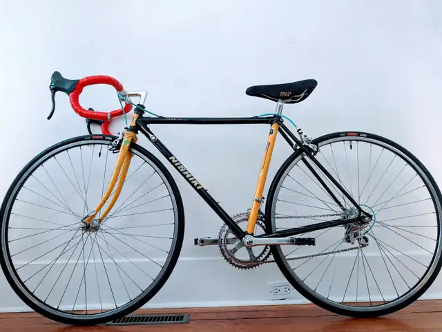 Freshly tuned Nishiki Landau Tri-A road bike 50cm (small) in Road in Calgary - Image 6