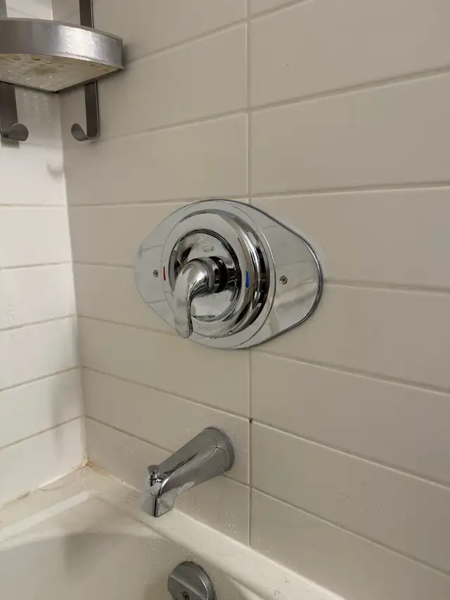 Plumber Licensed 447398198788771843