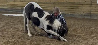 Tulip - the sweetest little pony you will ever meet, View more