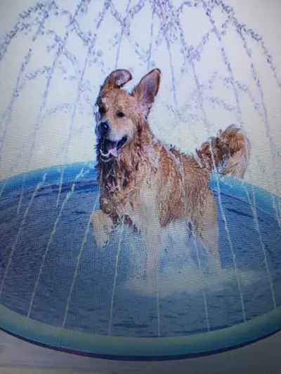 Splash mat for kids or dogs, View more